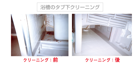 �����̃^�u���N���[�j���O